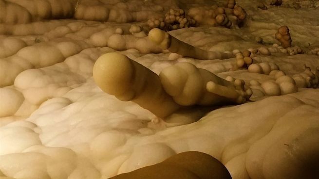 go to Geile Fotos: Touris entdecken spanische Penis-Höhle